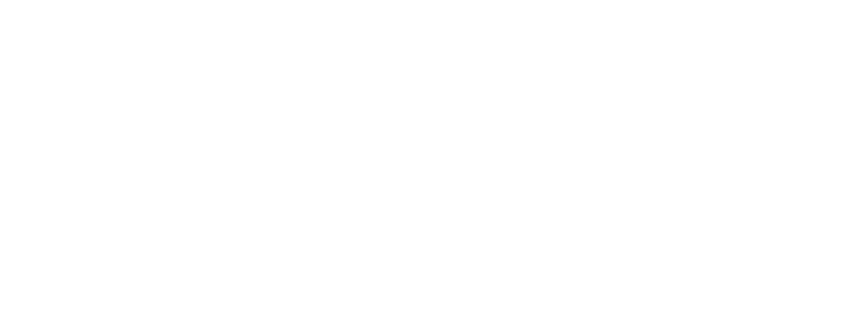Direktor
